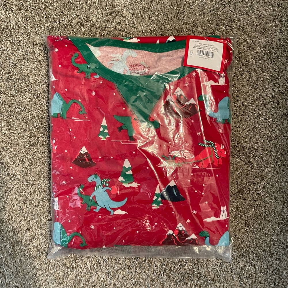 Target Dinosaur Christmas Pajamas XXL
